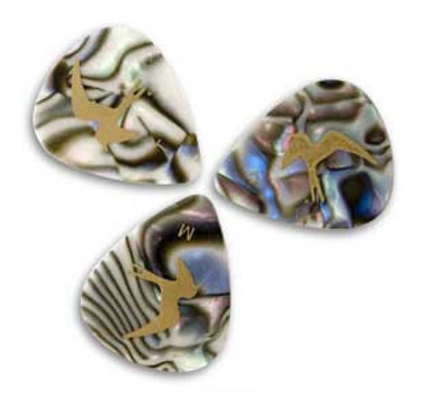 „Abalone Shell“ Picks