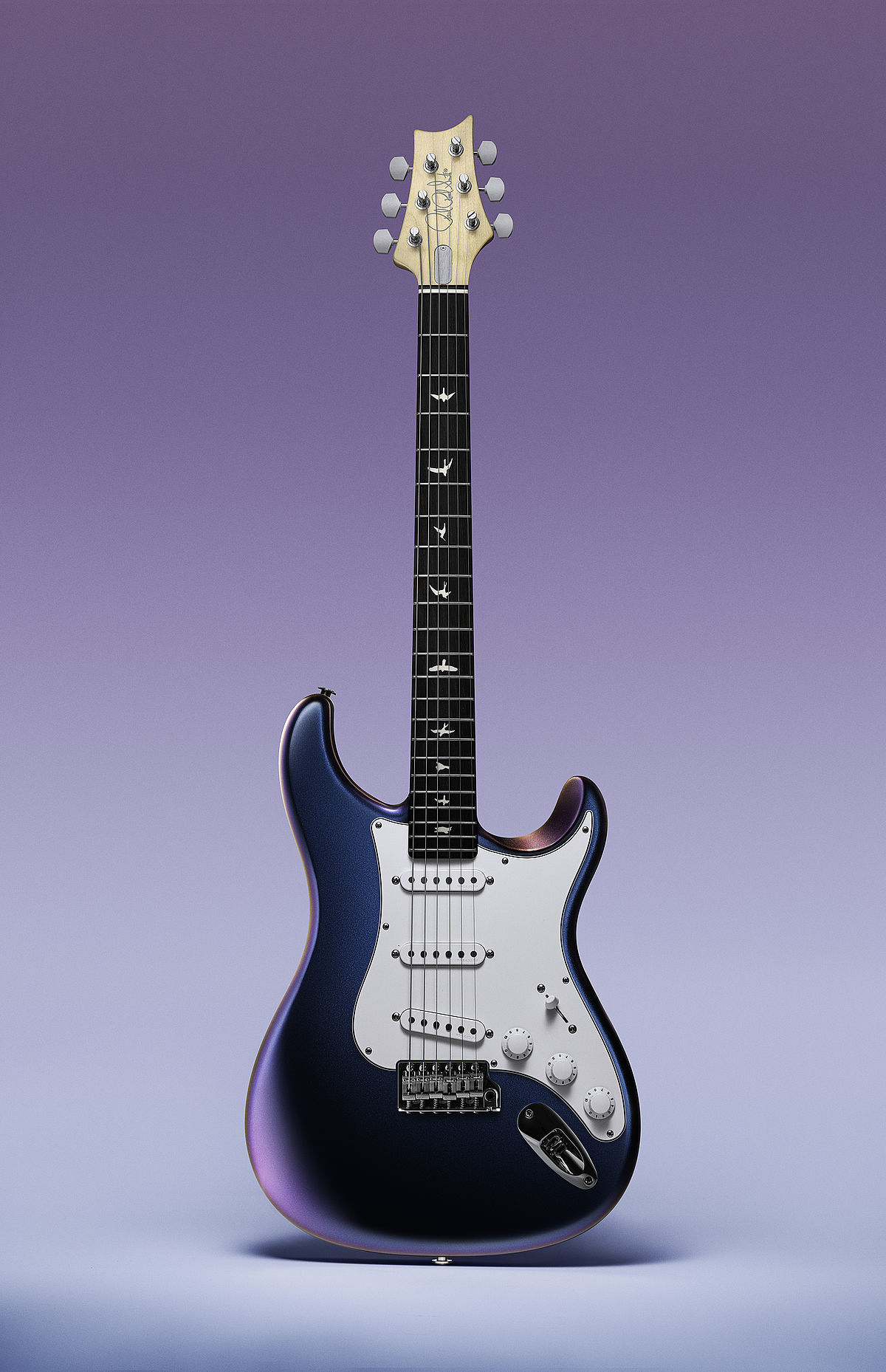 https://www.distinguished-guitars.de/uploads/_processed_/csm_silver_sky_nebula_front_color_bg_02_72d791f58d.jpg